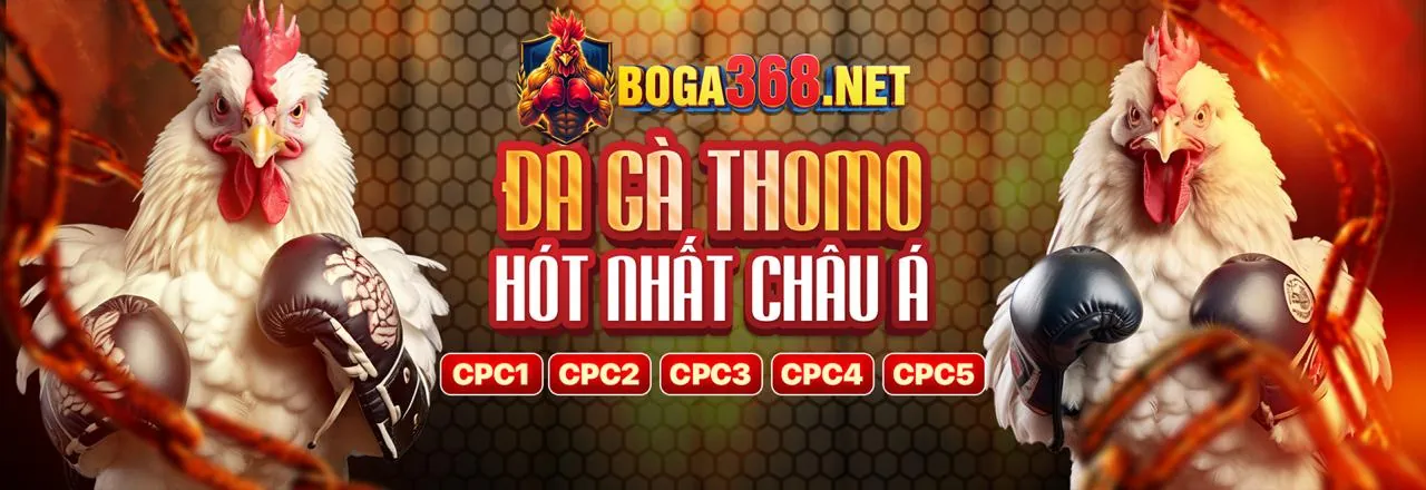 Tin tức bet999 đăng nhập